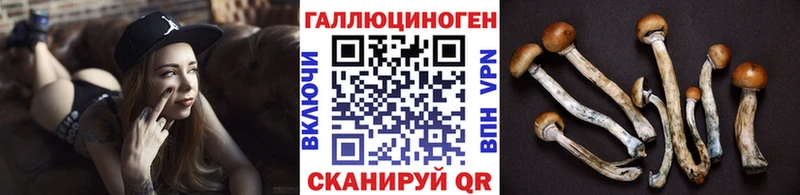 Псилоцибиновые грибы Cubensis  где найти   Отрадная 